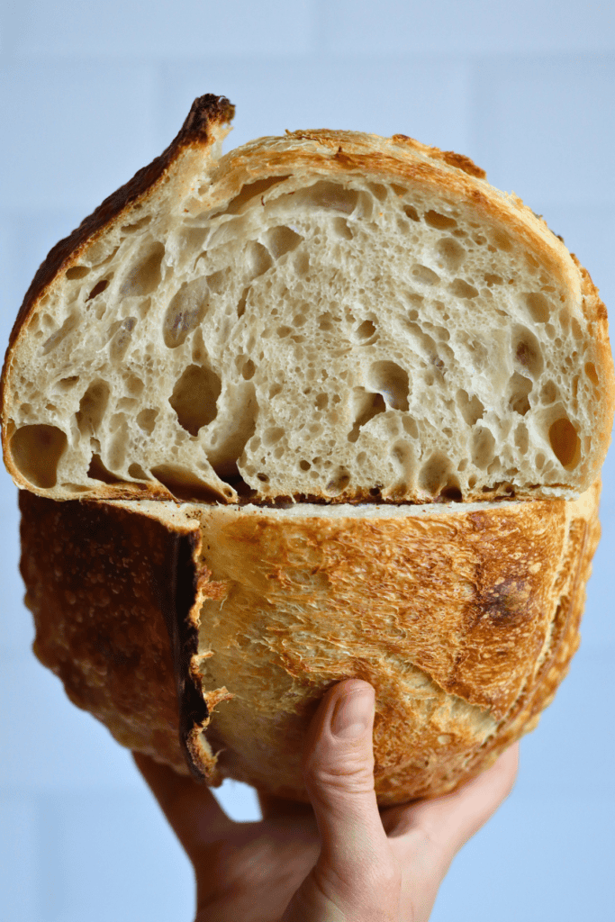 sourdough bread for beginners