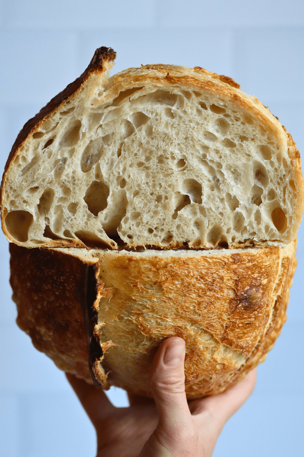 sourdough bread for beginners