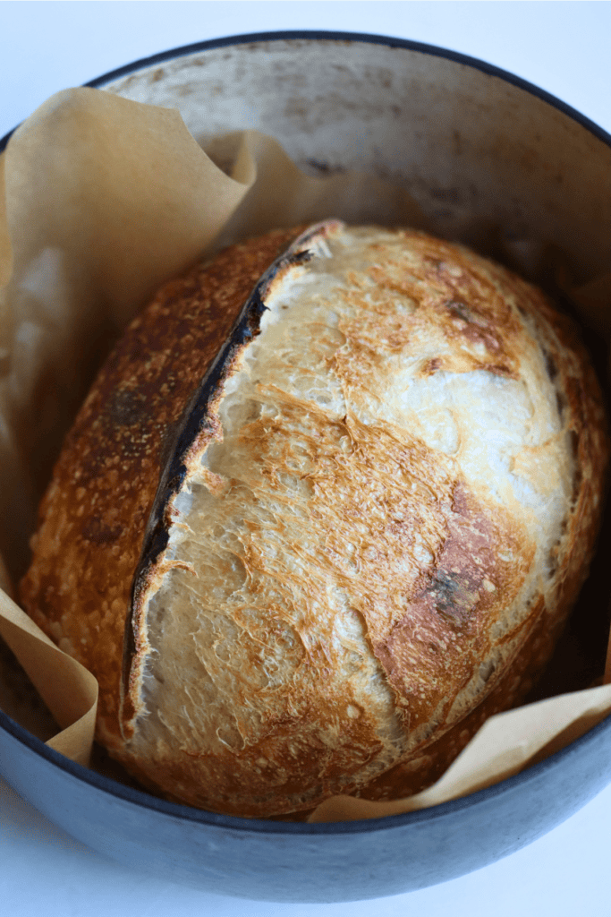 sourdough bread in a dutch oven