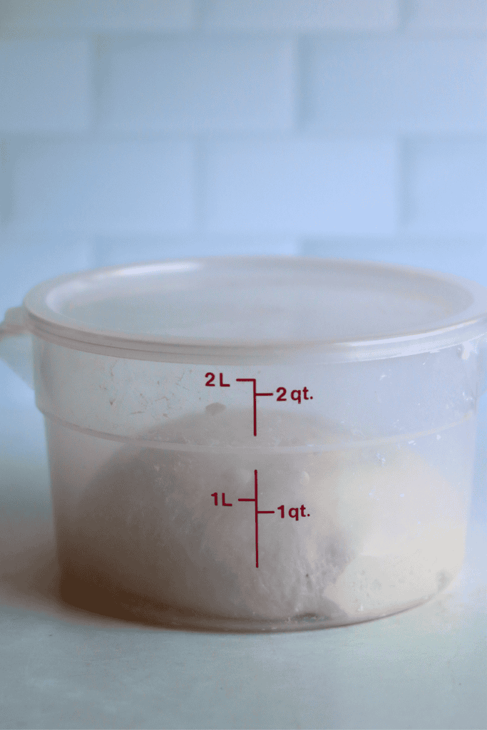 dough in a greased bowl