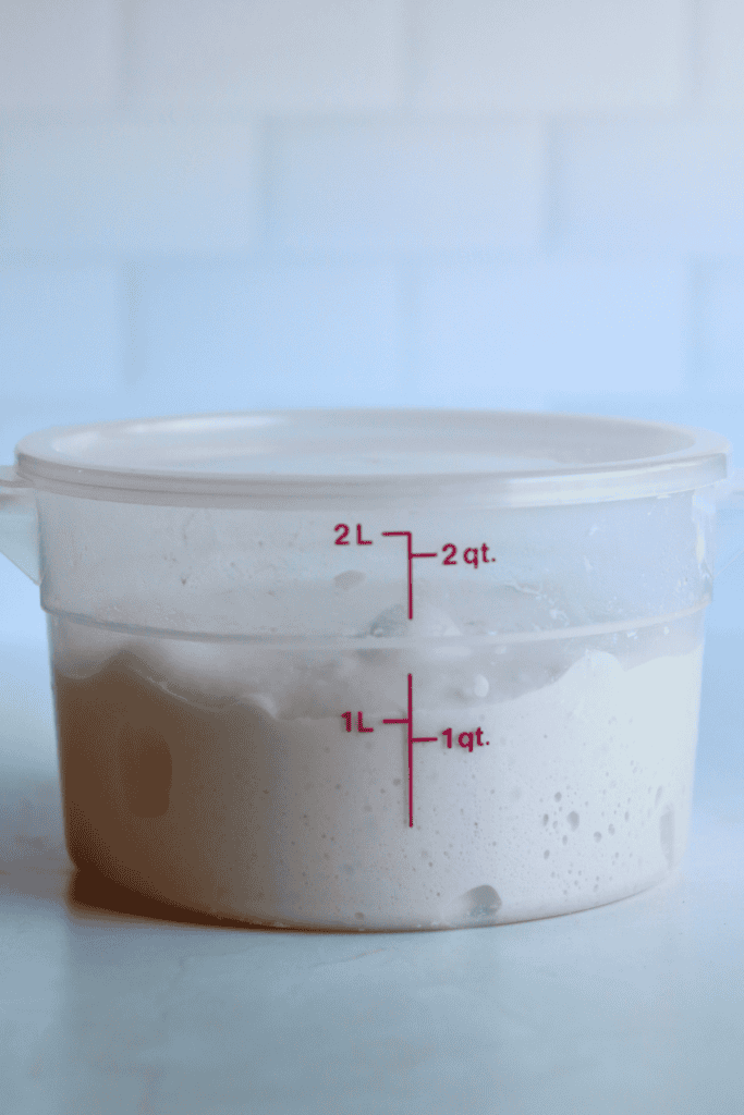 bulk fermenting the dough