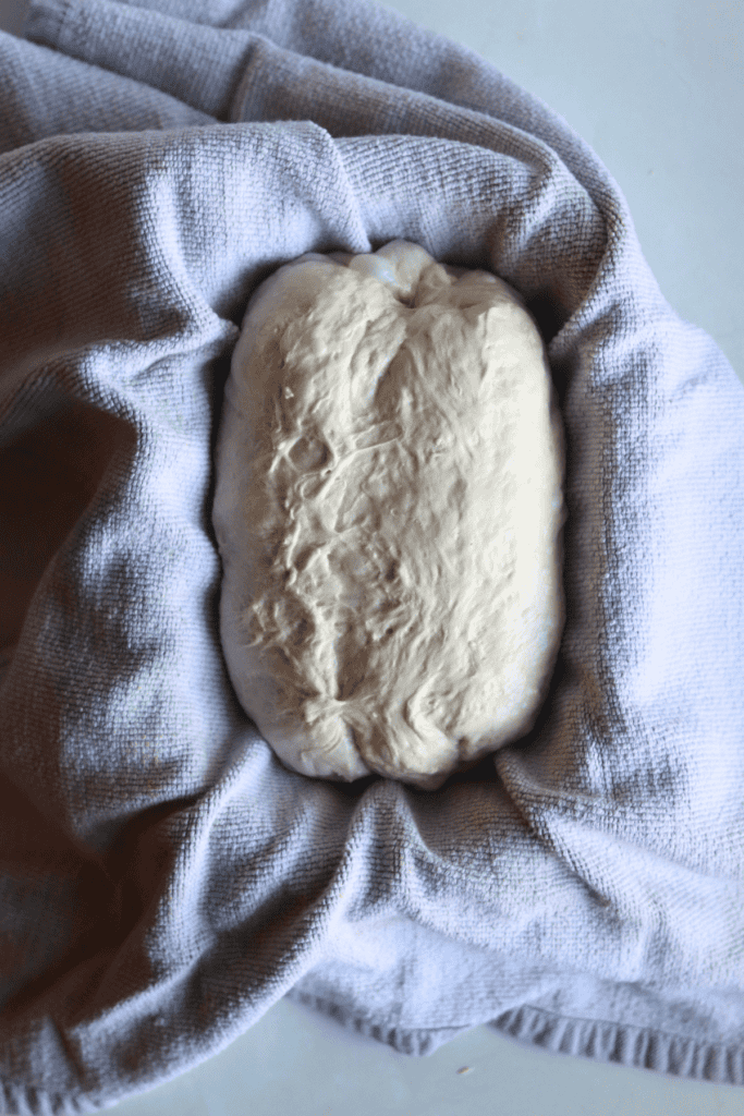 sourdough bread dough in proofing basket