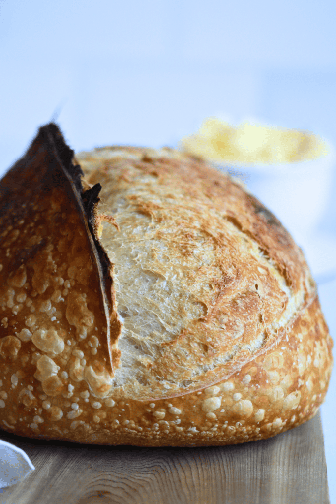 sourdough bread