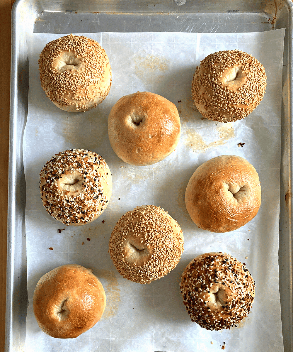 The Best Sourdough Bagels Simplicity and a Starter