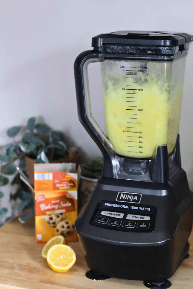 How to Clean a Ninja Blender (The Simple Way) - Simplicity and a Starter
