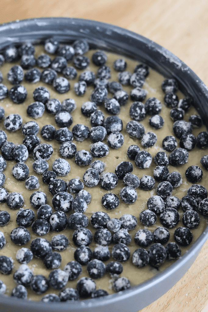 Sourdough Blueberry Buckle batter in a cake pan