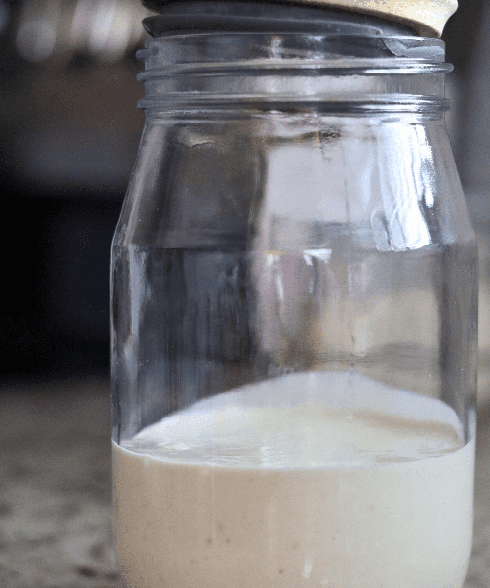 Sourdough discard in a mason jar