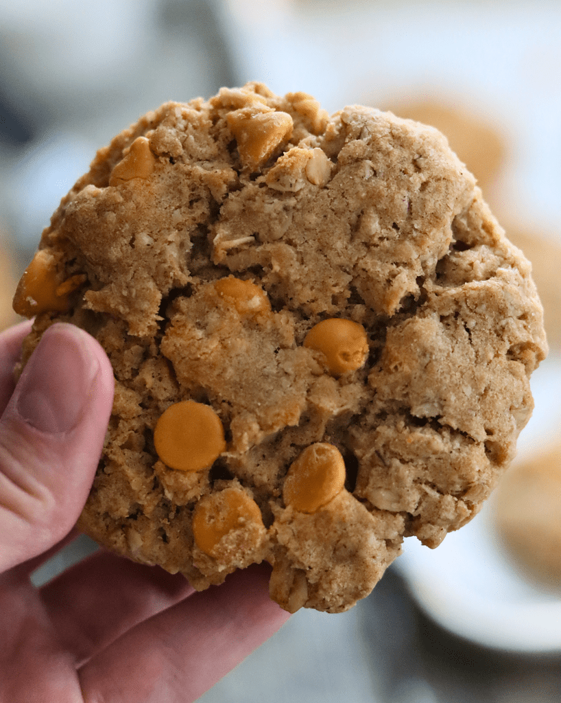 Sourdough Oatmeal Butterscotch Cookie