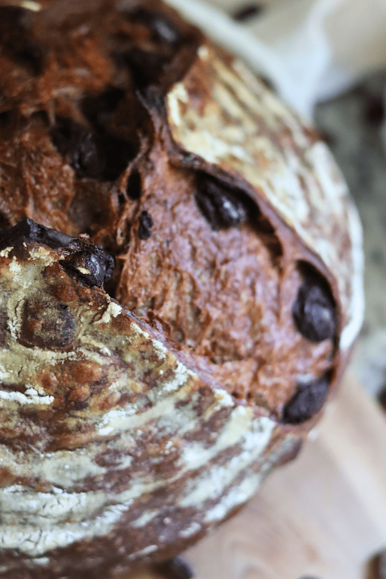 baked Chocolate Espresso Sourdough Bread