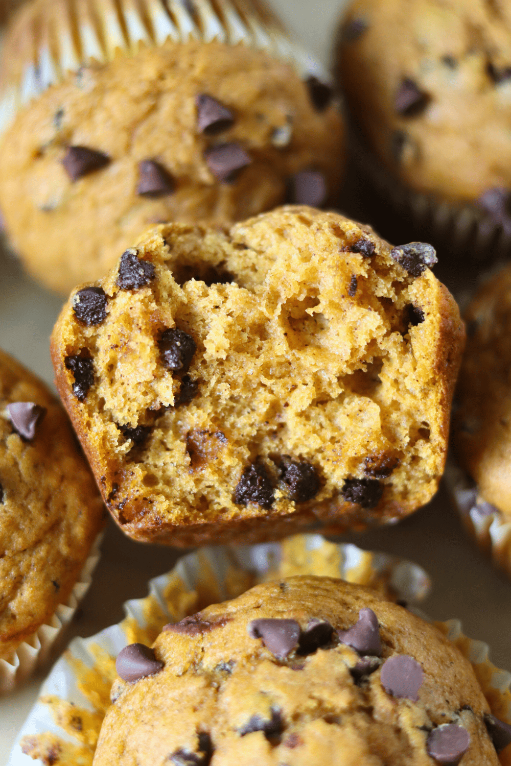 Sourdough Pumpkin Chocolate Chip Muffins