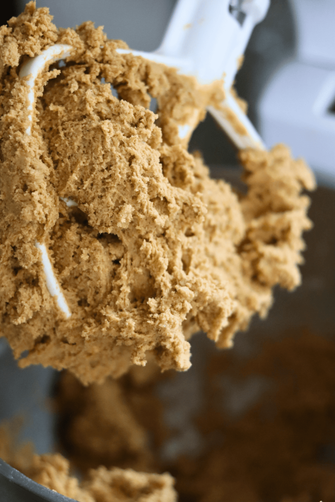 Sourdough Gingerbread Cookie batter