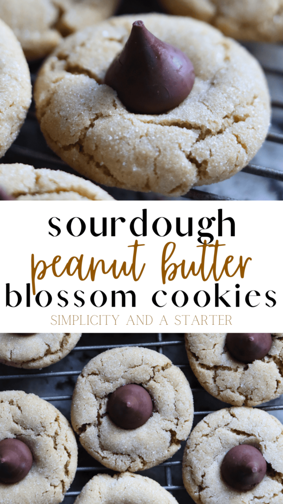 Sourdough Peanut Butter Blossom Cookies Pinterest Pin