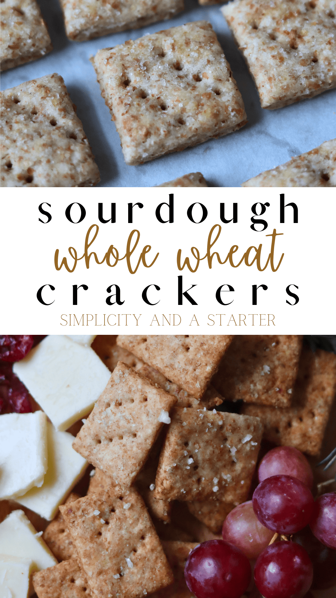 Sourdough Whole Wheat Crackers (Discard Recipe) - Simplicity and a Starter