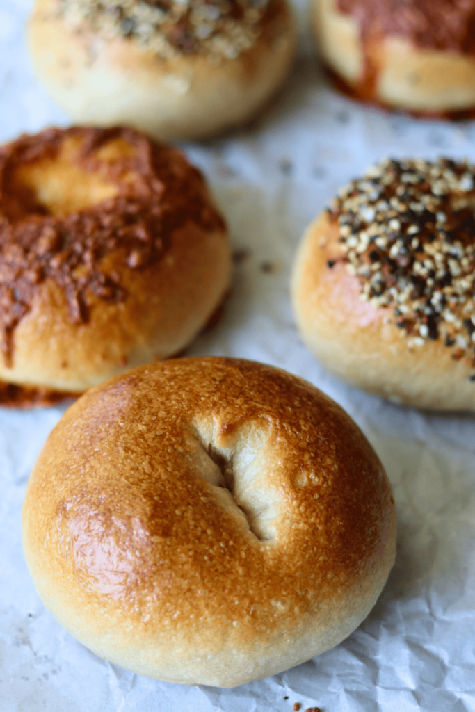 sourdough bagels