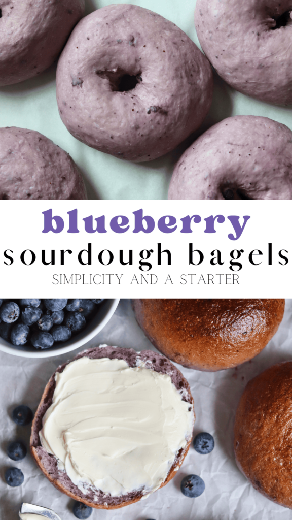 Sourdough Blueberry Bagel Pinterest Pin