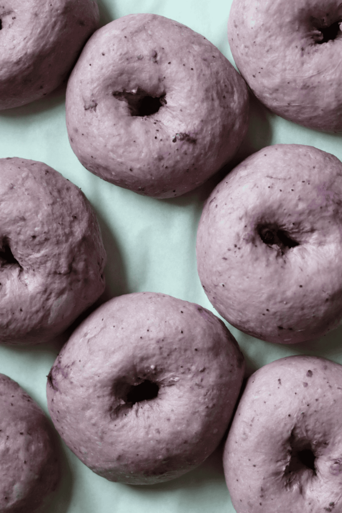 Sourdough Blueberry Bagels after their second rise