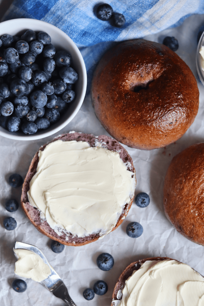 Sourdough Blueberry Bagels with cream cheese