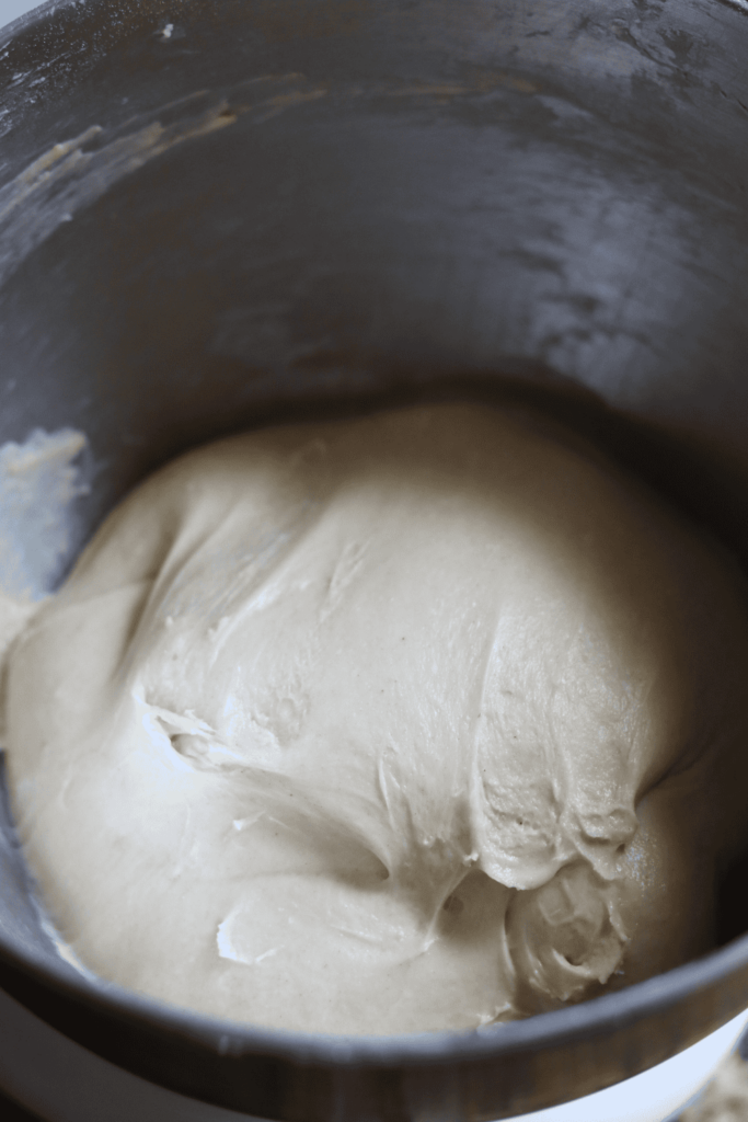 Sourdough Hot Dog Buns and Burger Buns dough after being kneaded