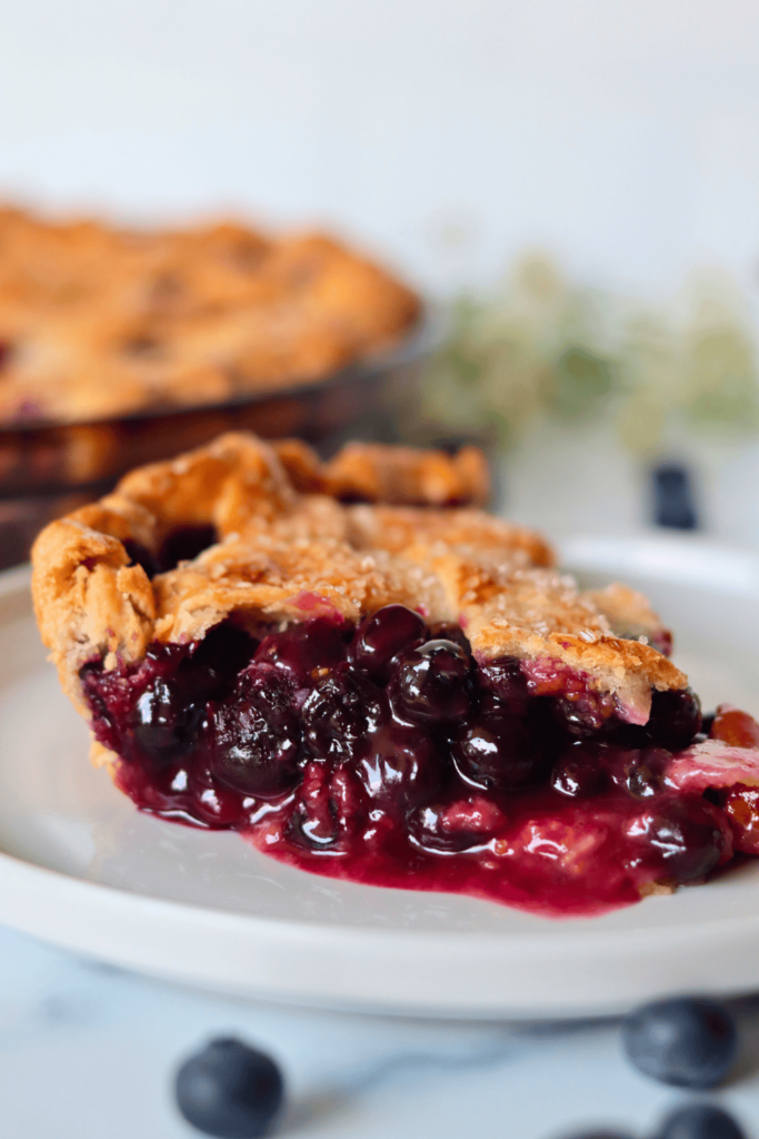 sourdough blueberry pie