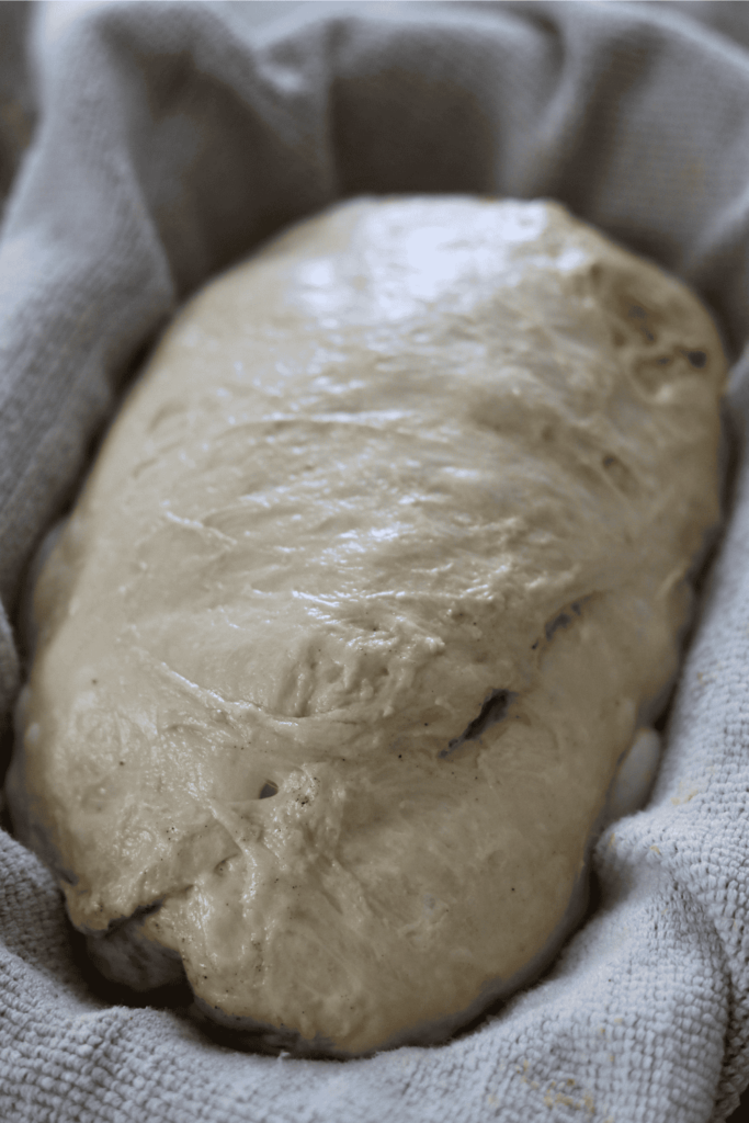 cold proofing sourdough