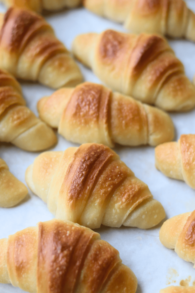 sourdough crescent rolls in a pan