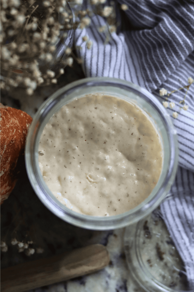 a bubbly sourdough starter