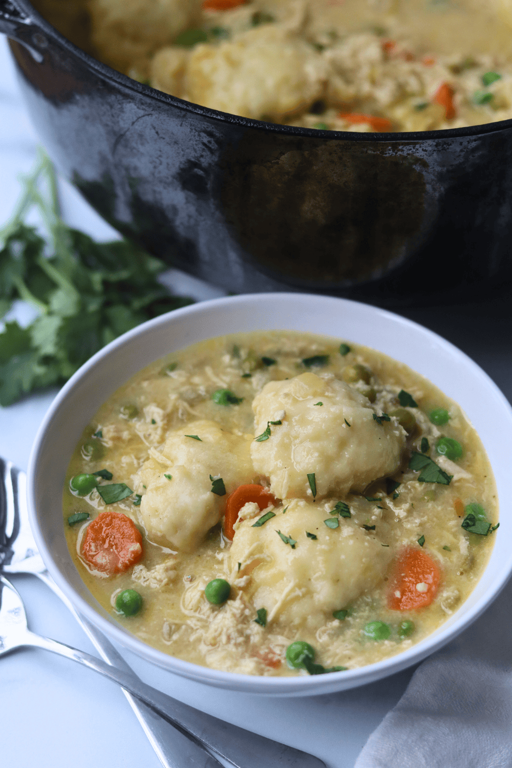 sourdough chicken and dumpling soup on a white bowl