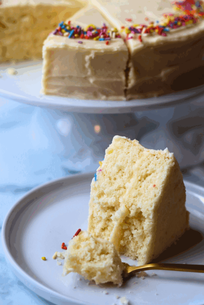 slice of sourdough vanilla cake