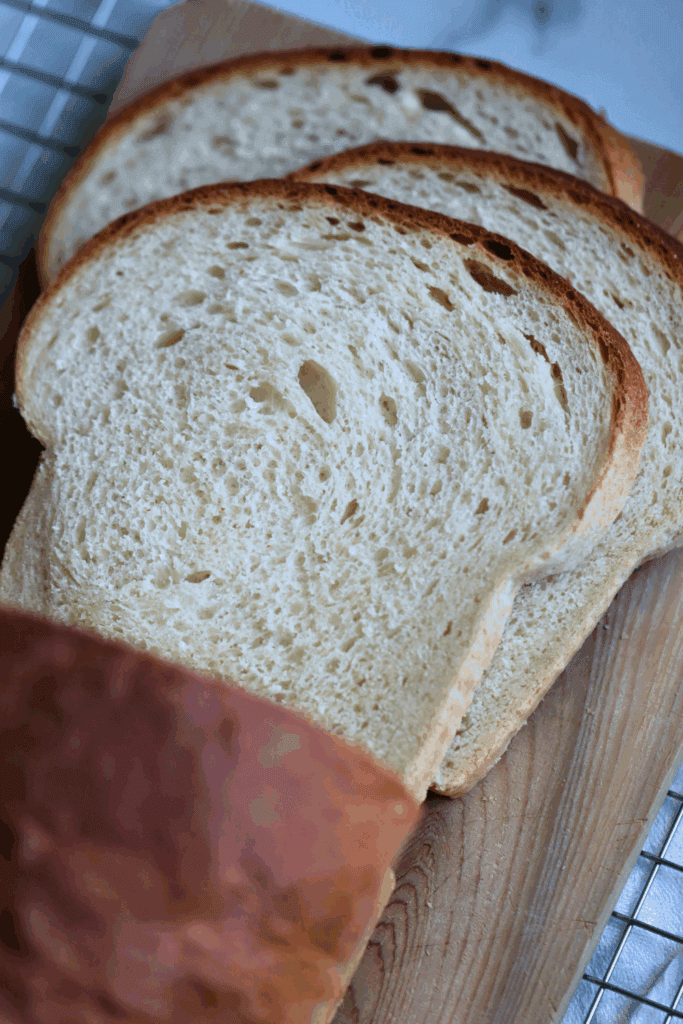 sourdough discard sandwich bread
