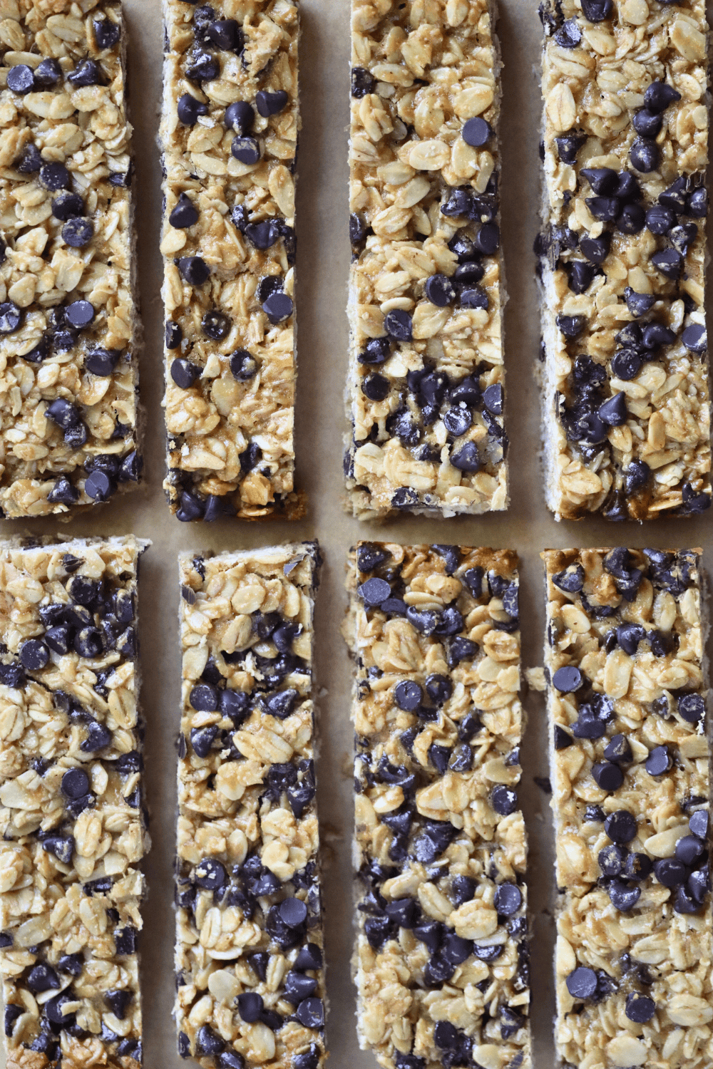 sourdough granola bars