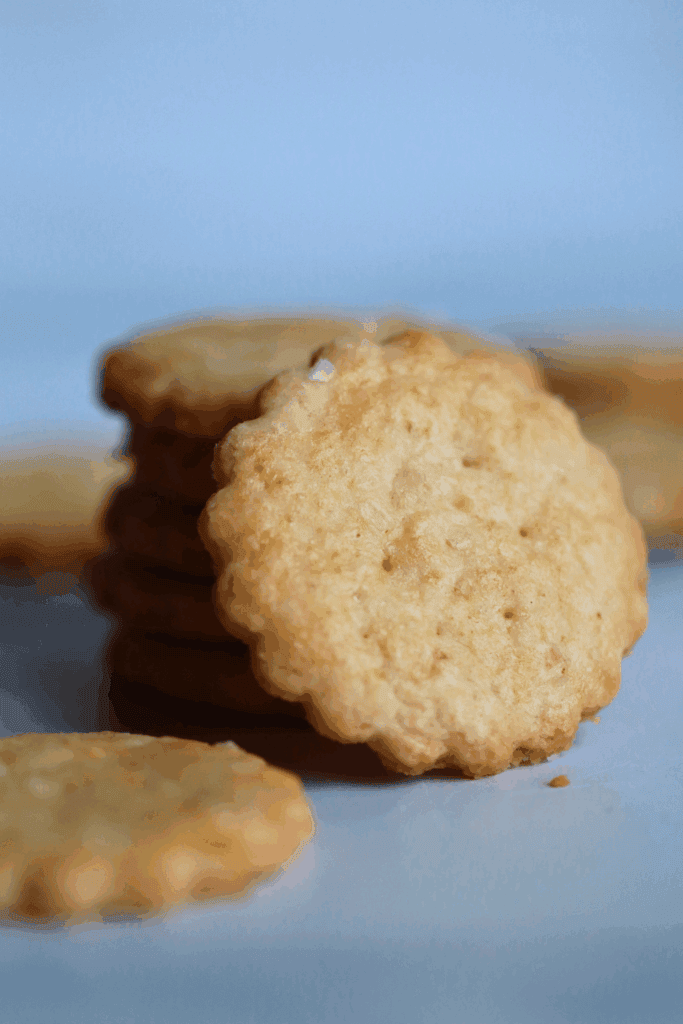 sourdough ritz crackers