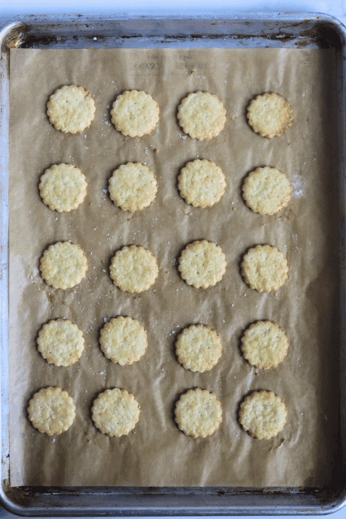baked sourdough ritz crackers