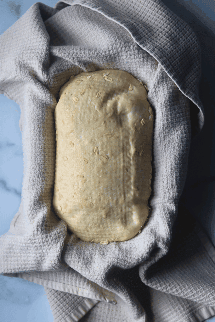 dough in a banneton basket