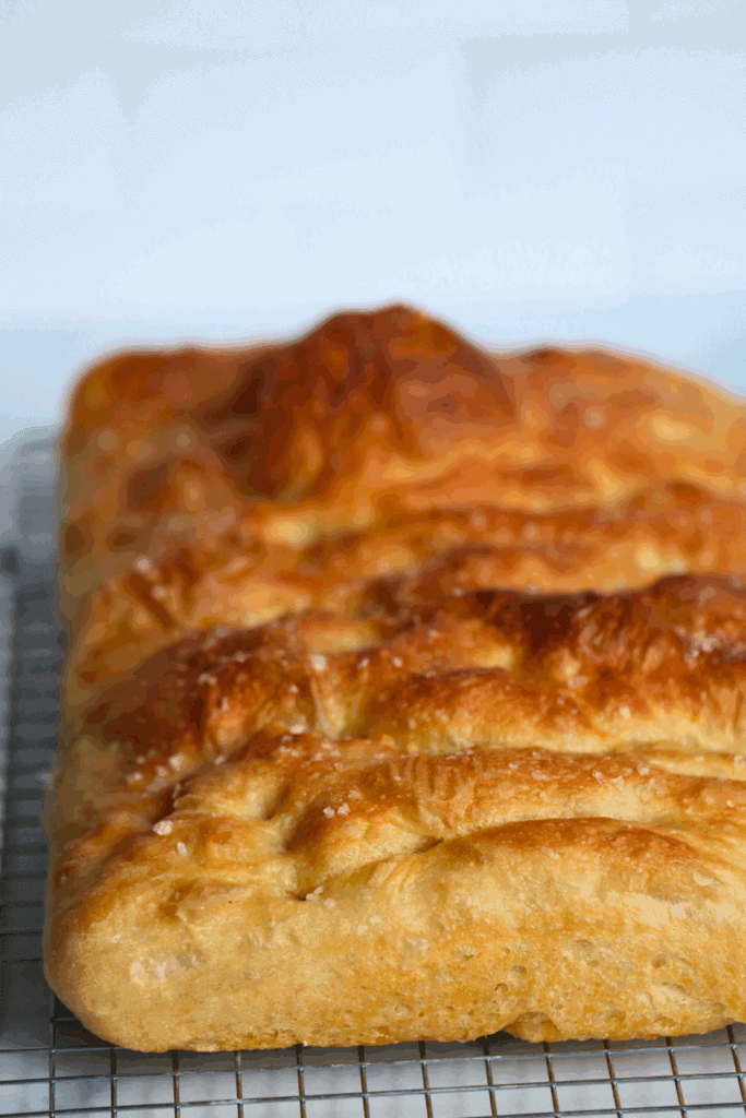 sourdough discard focaccia