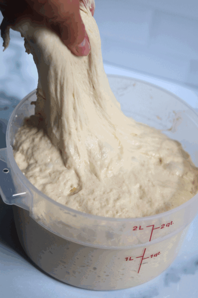 sourdough in a container