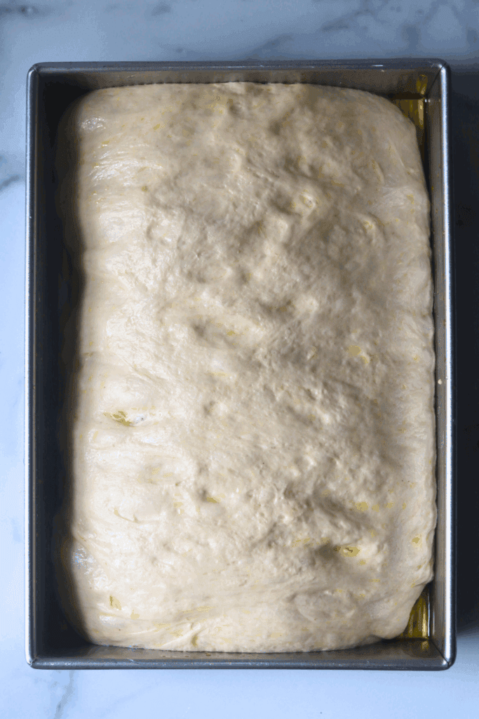 sourdough that has doubled in size