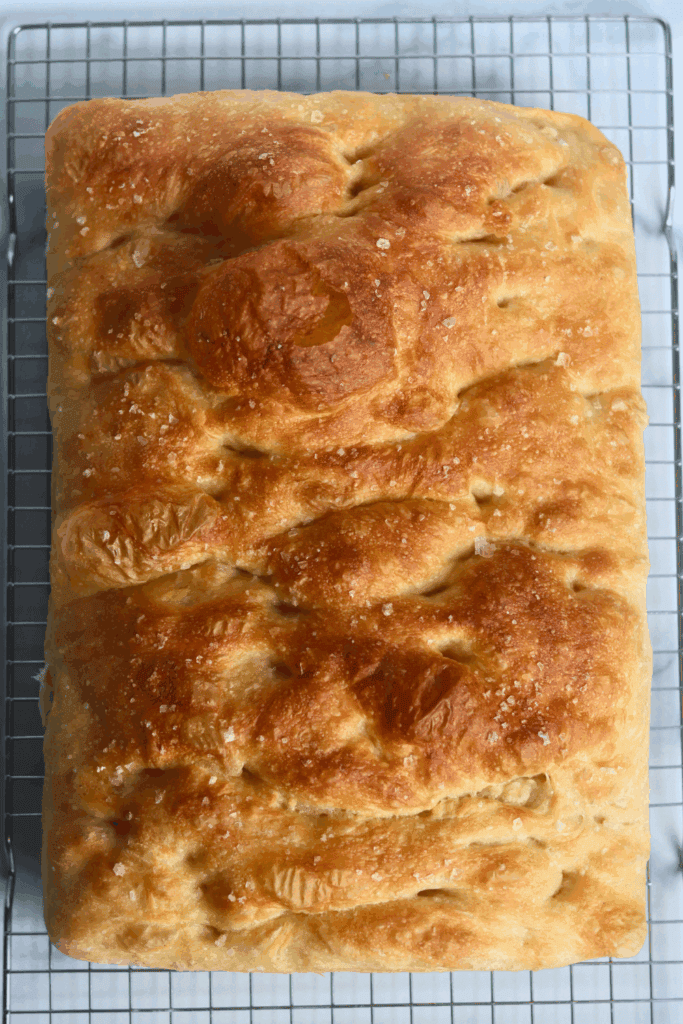 baked sourdough discard focaccia