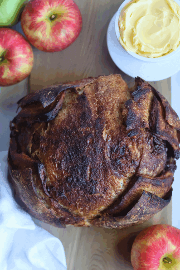 Baked apple cinnamon sourdough bread 