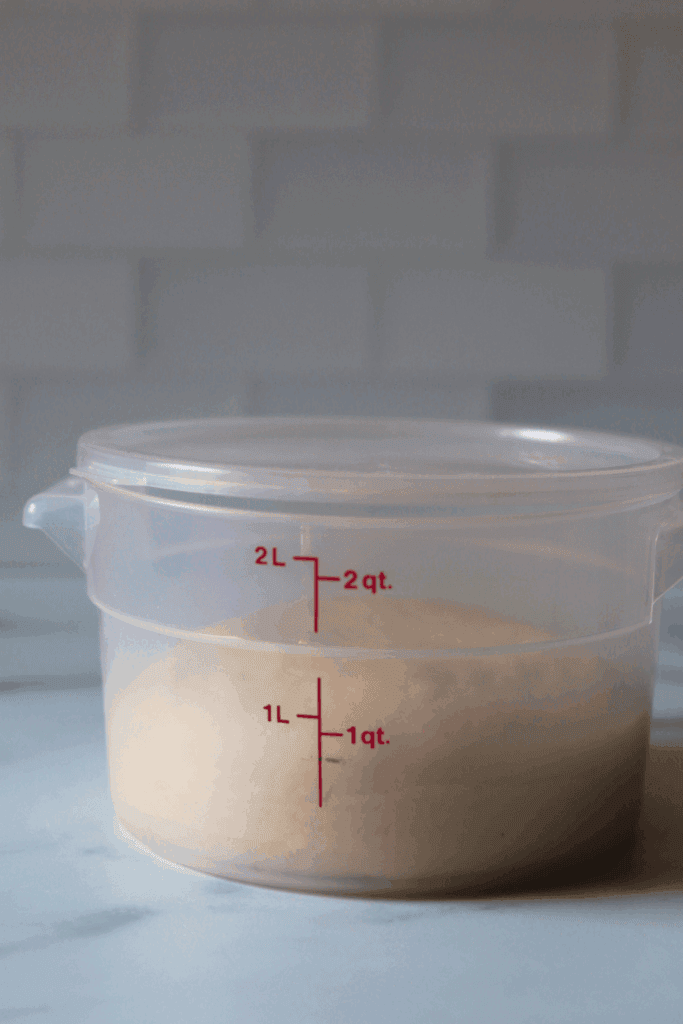 dough in container 