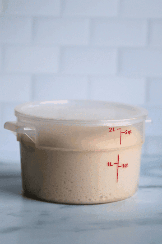 dough that has doubled in size