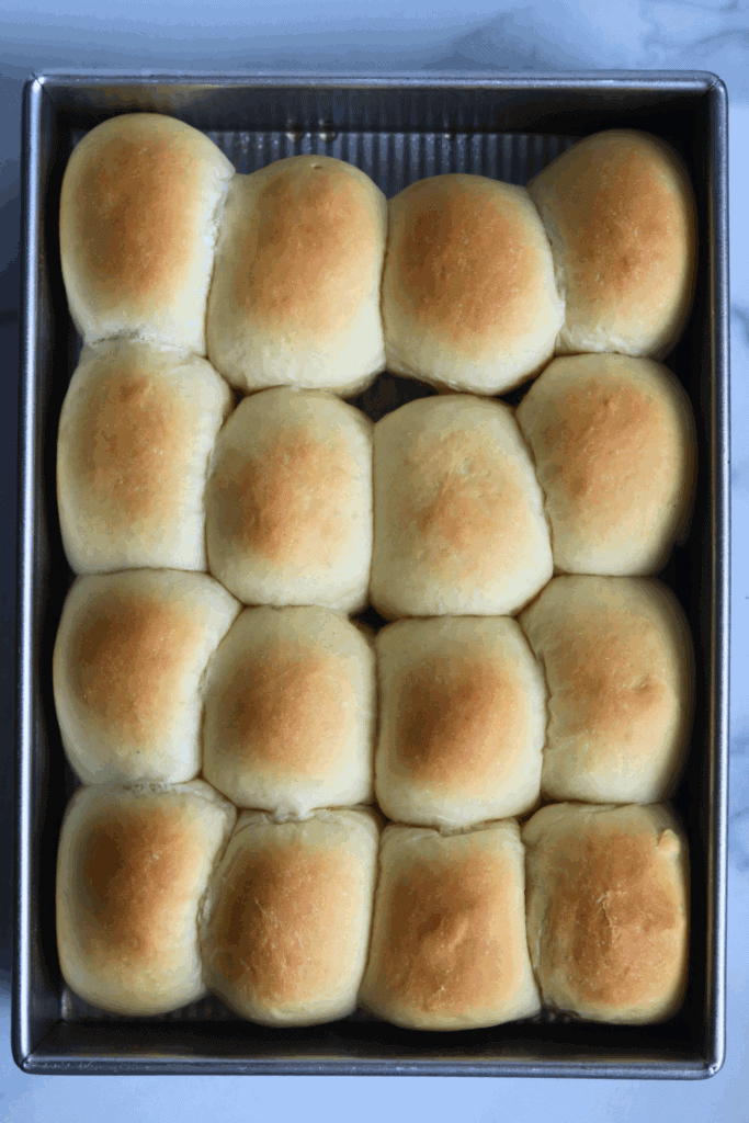 baked sourdough discard dinner rolls
