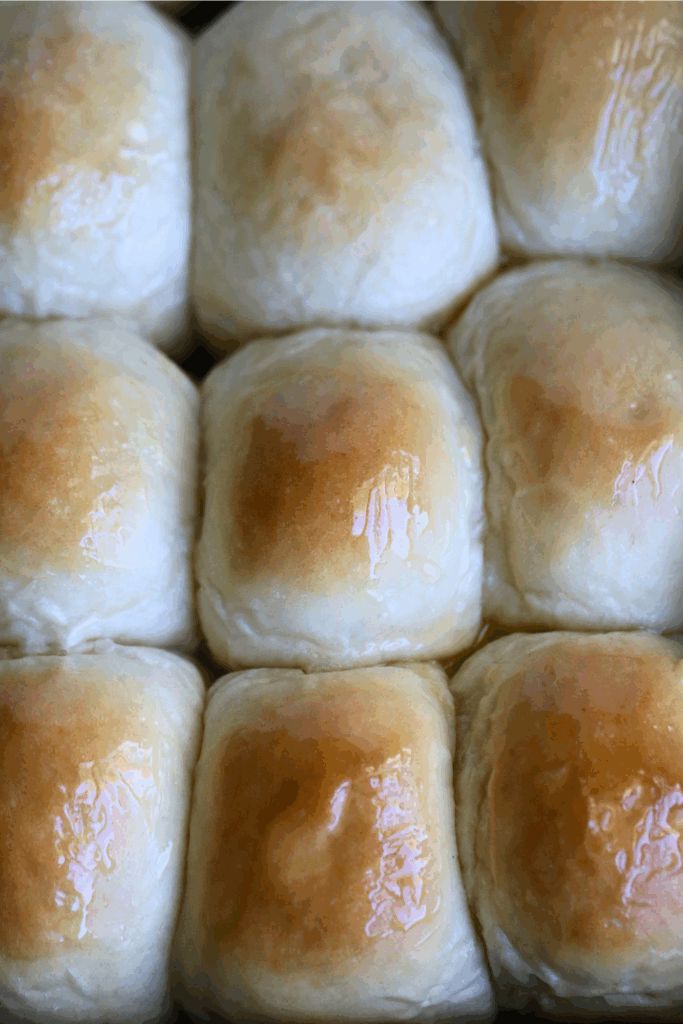 a pan of sourdough discard dinner rolls