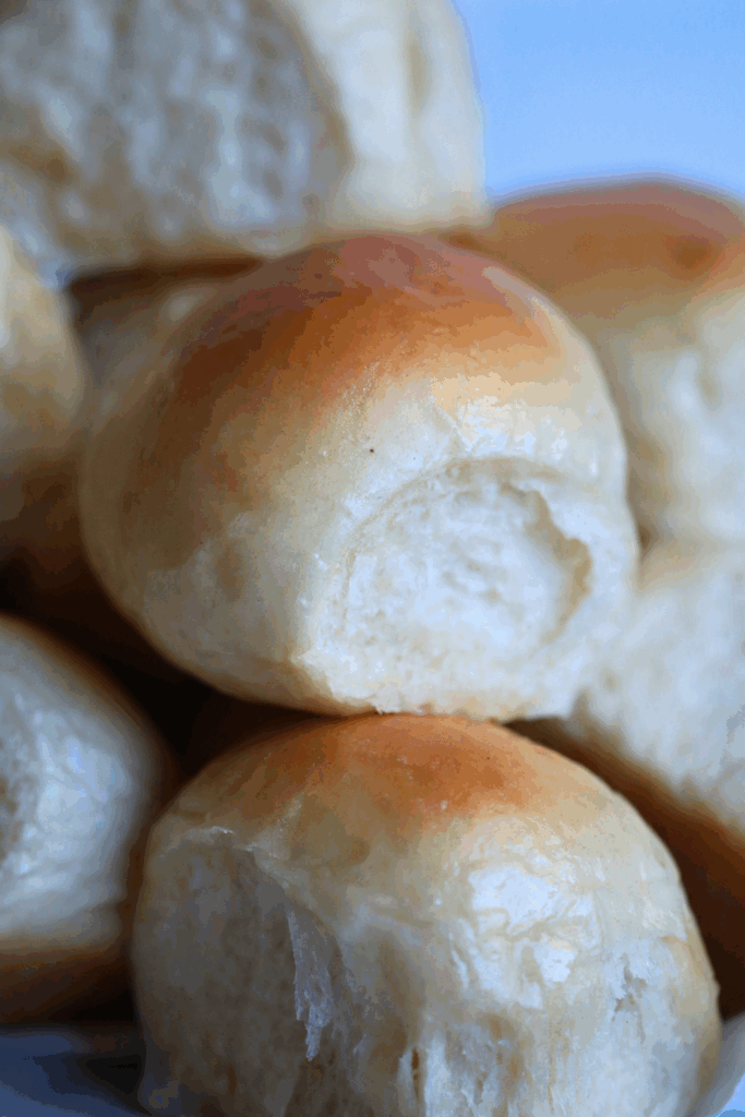 sourdough discard dinner rolls
