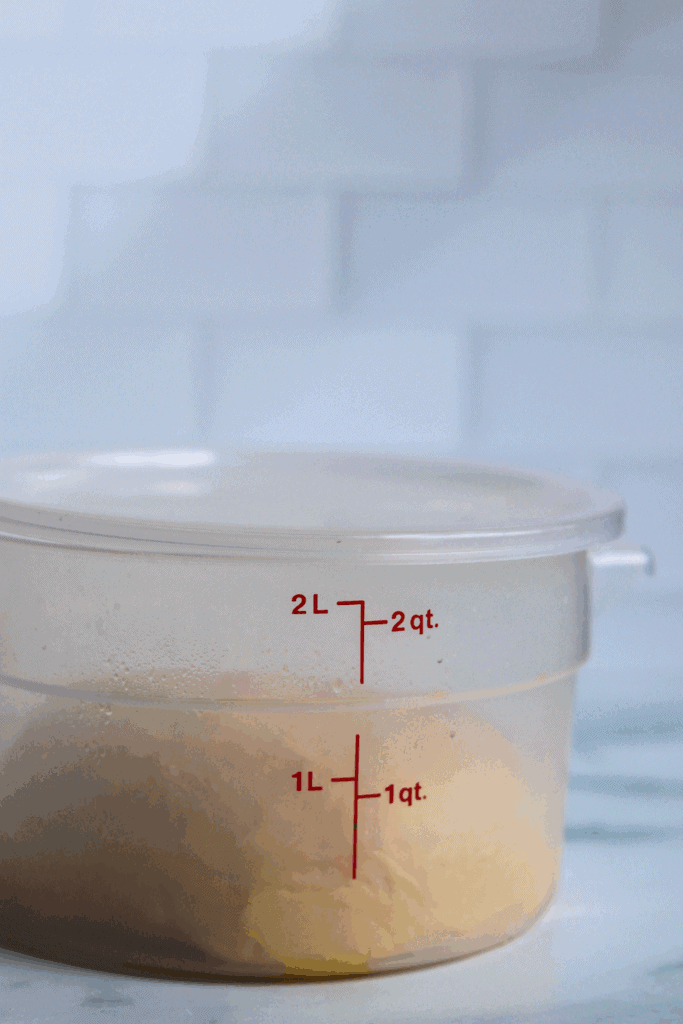 dough in a container