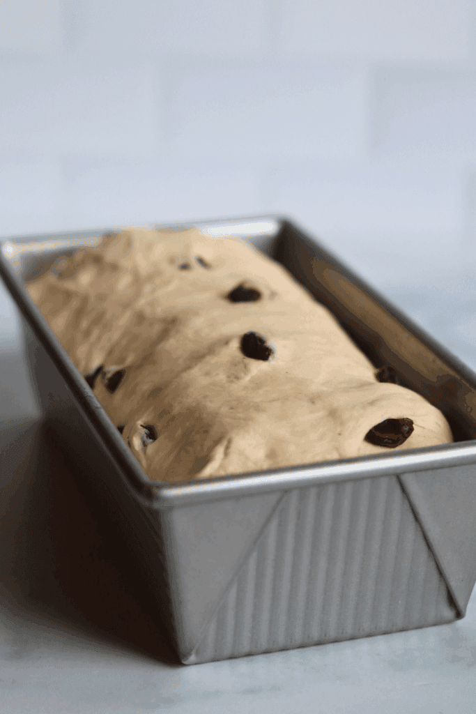 shaped dough to make sourdough discard cinnamon raisin sandwich bread 