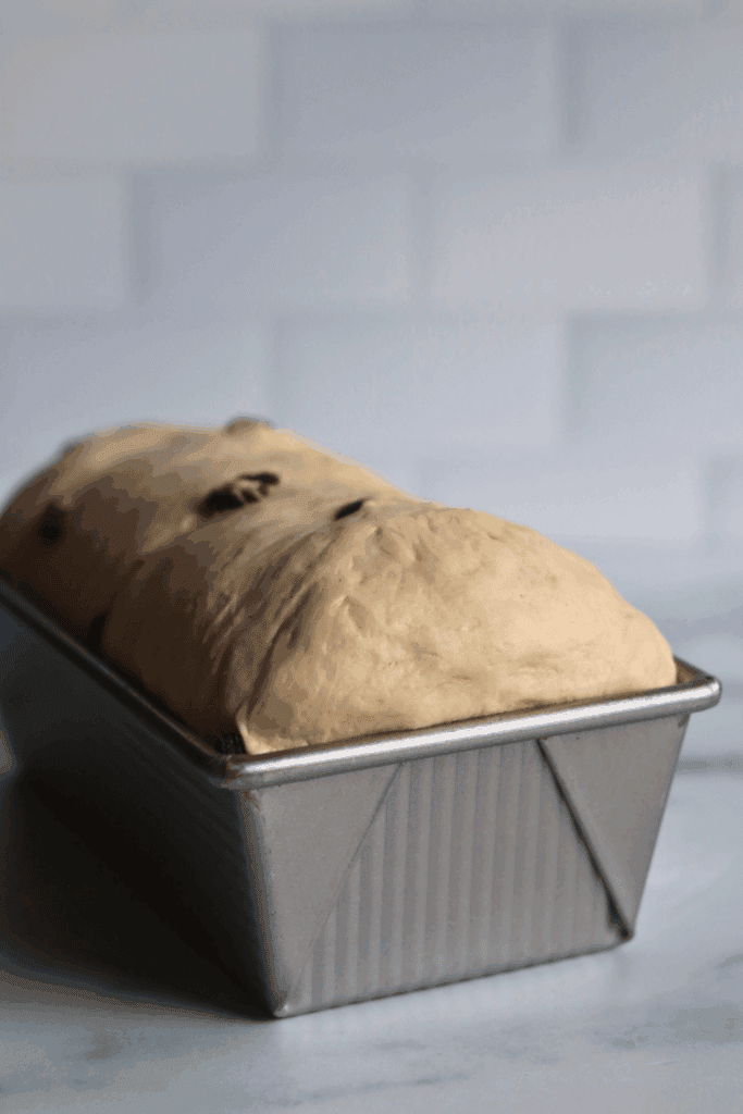cinnamon raisin dough that has doubled in size