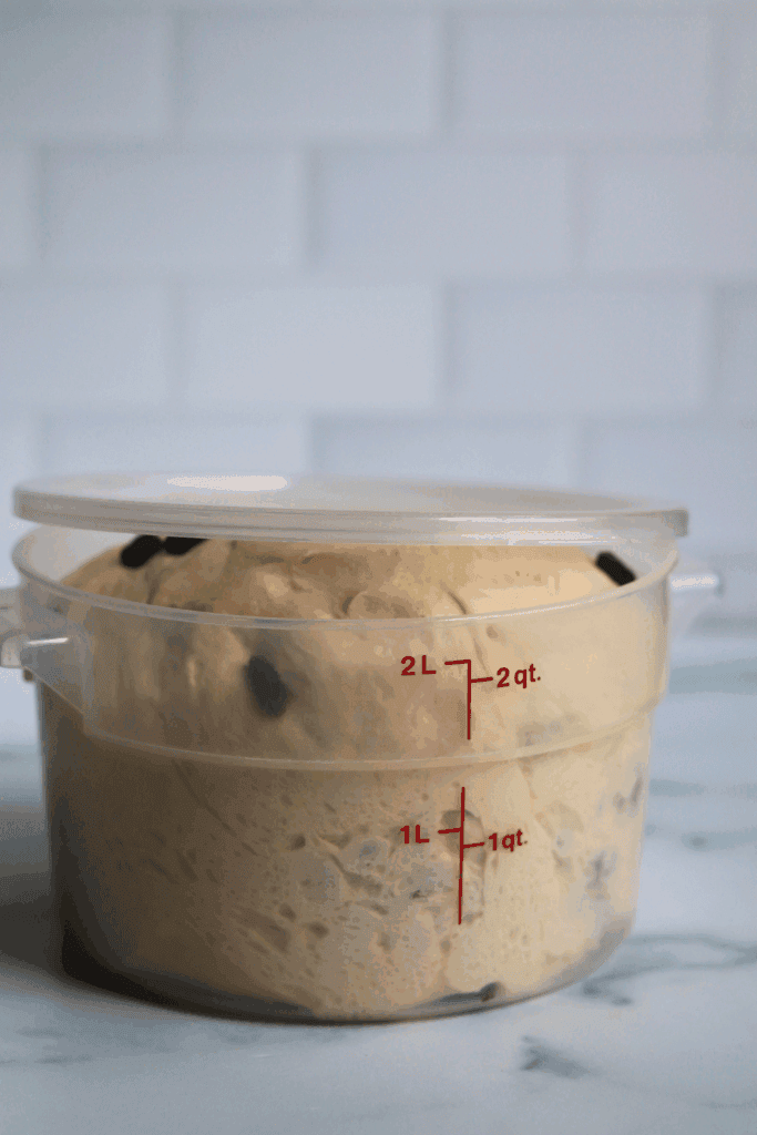 dough with raisins that has doubled in size 