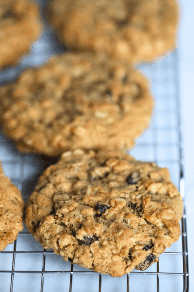 sourdough oatmeal raisin cookies