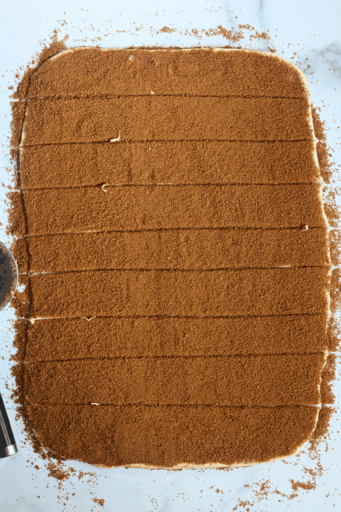 cinnamon roll dough cut into equal pieces