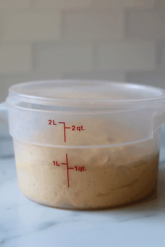 dough that has doubled in size